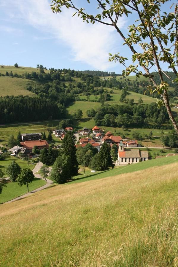 Gaestehaus Sonnhalde Wieden Exteriör bild